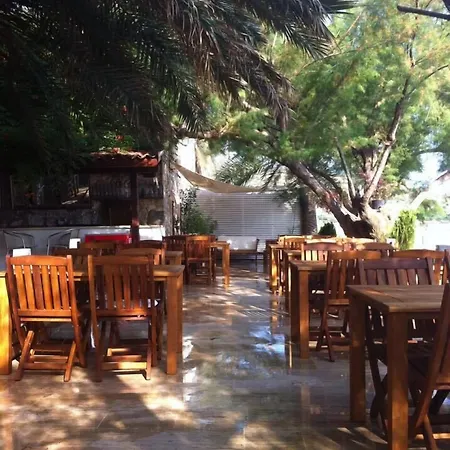 Gunisigi * 古托克布库