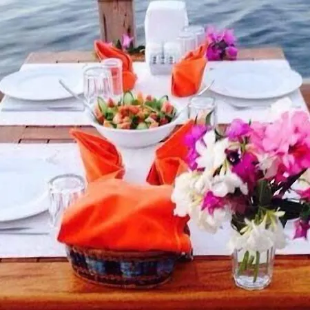 住宿加早餐酒店 Gunisigi 古托克布库