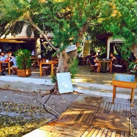 Nocleg ze śniadaniem Gunisigi *