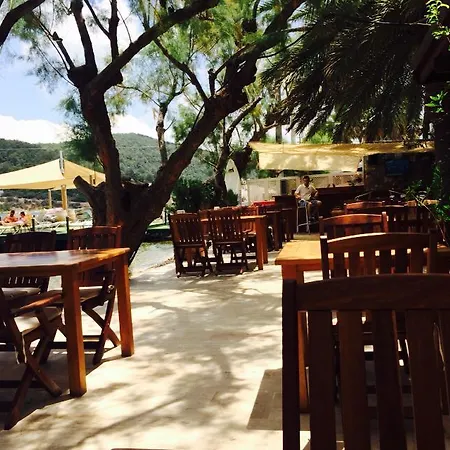 Gunisigi * 古托克布库