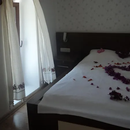 Gunisigi * 古托克布库