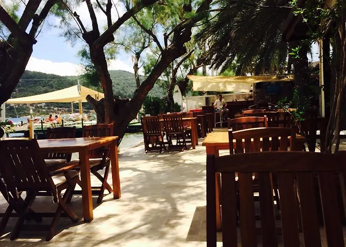 Gunisigi * Golturkbuku