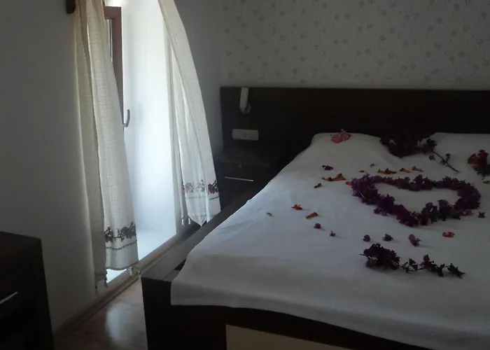 Gunisigi * Golturkbuku