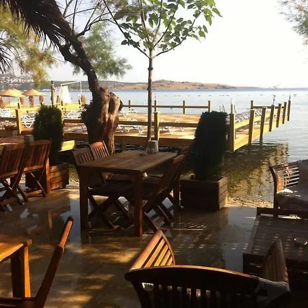 Couette-café Gunisigi Türkbükü