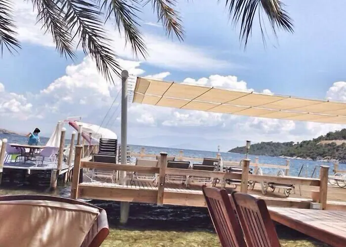 Gunisigi غولتوركبوكو