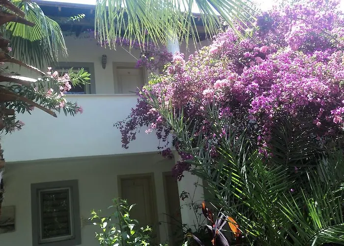 Gunisigi فندق مبيت وإفطار *